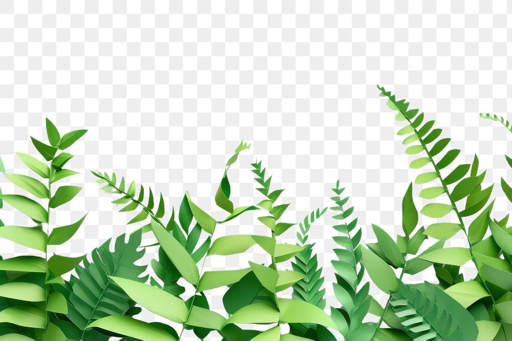PNG Vegetation plant green leaf.
