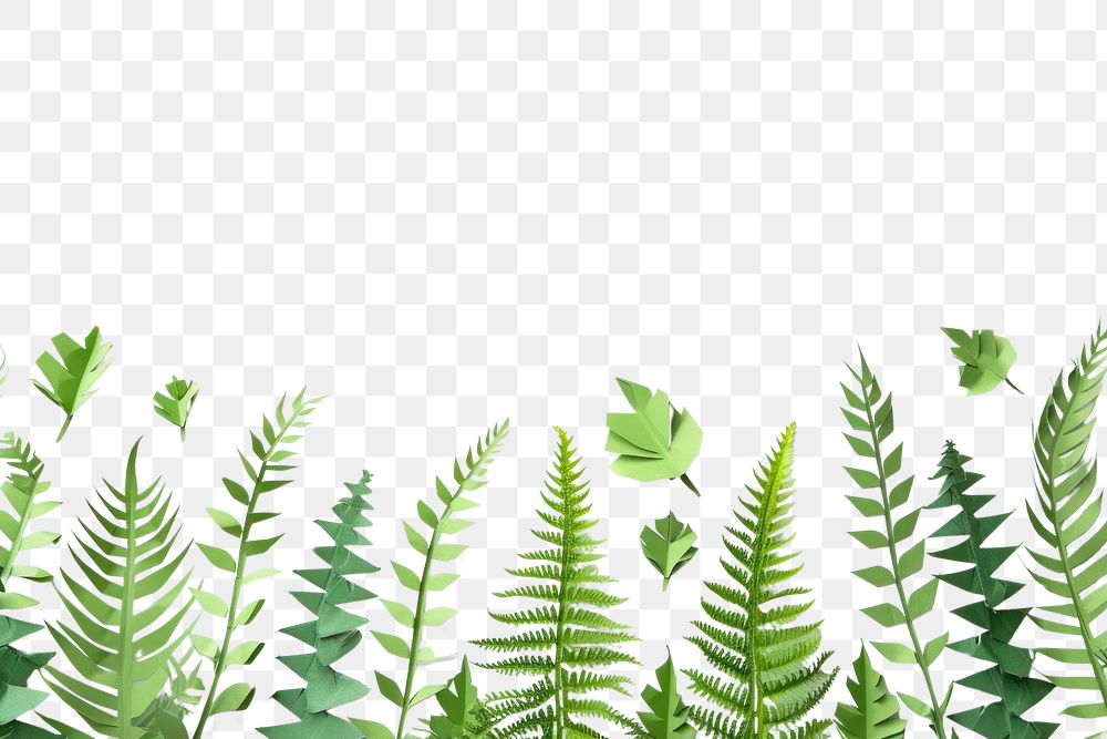 PNG Plant leaf fern tranquility.
