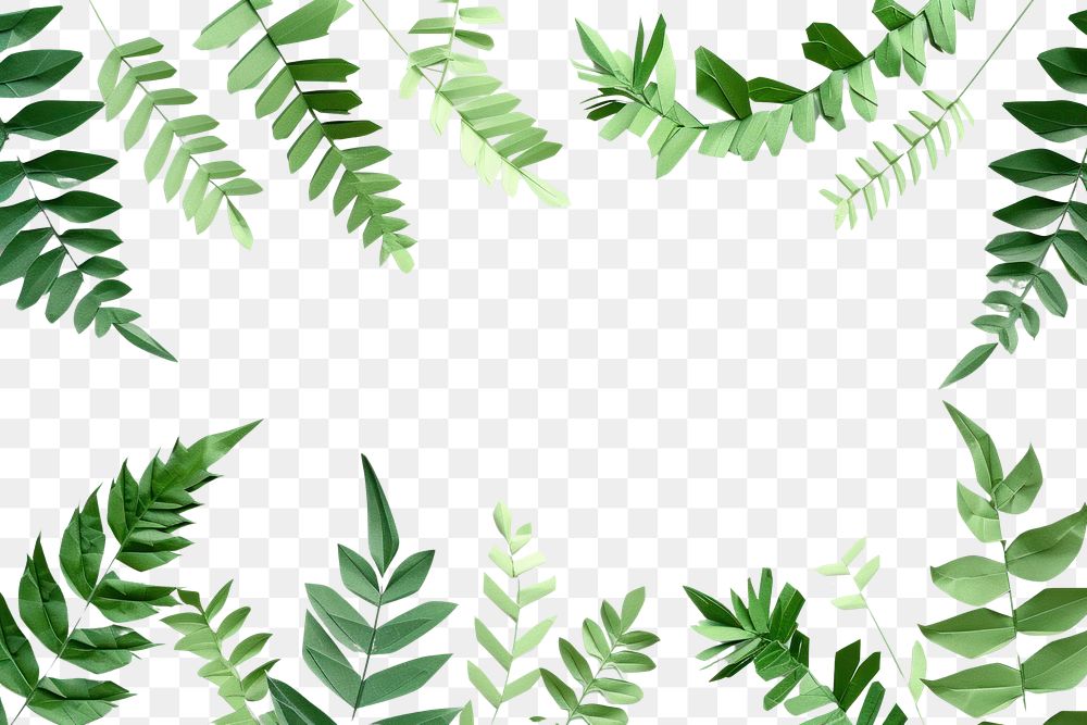 PNG Plant green leaf fern.