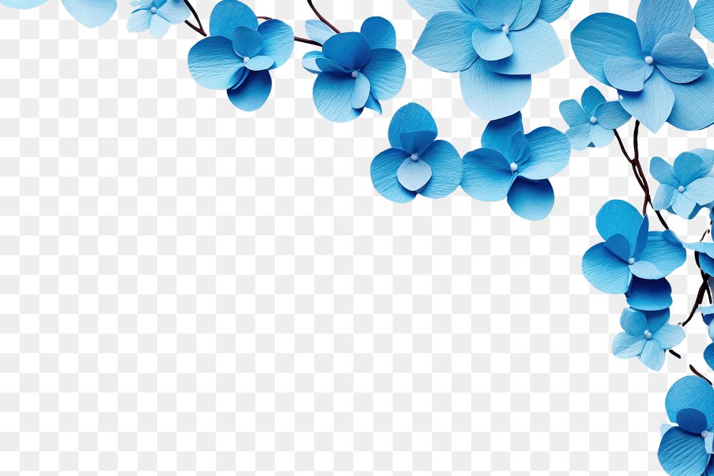 PNG Blue orchid flowers border backgrounds turquoise nature.