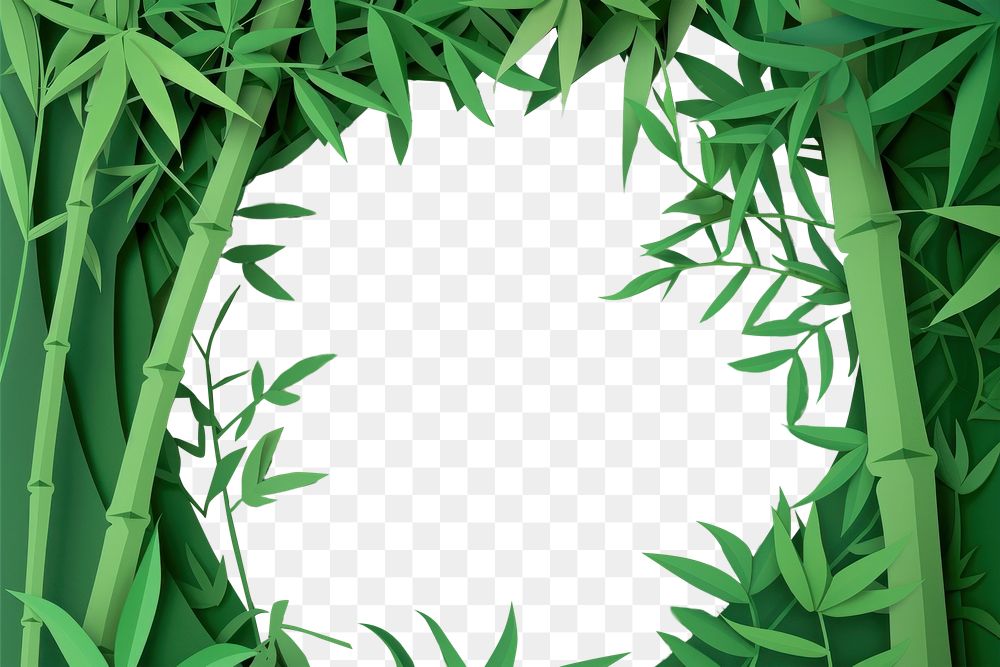 PNG Bamboos frame backgrounds plant green.