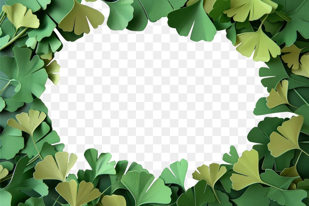 PNG Green ginko leaves frame backgrounds outdoors nature.