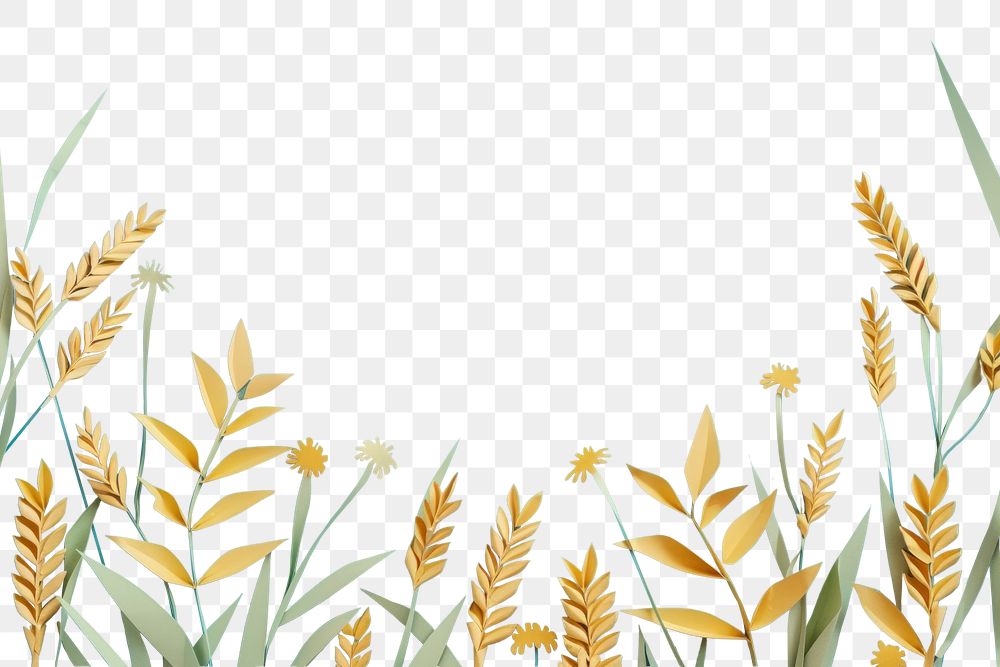 PNG Wheats frame backgrounds outdoors nature.