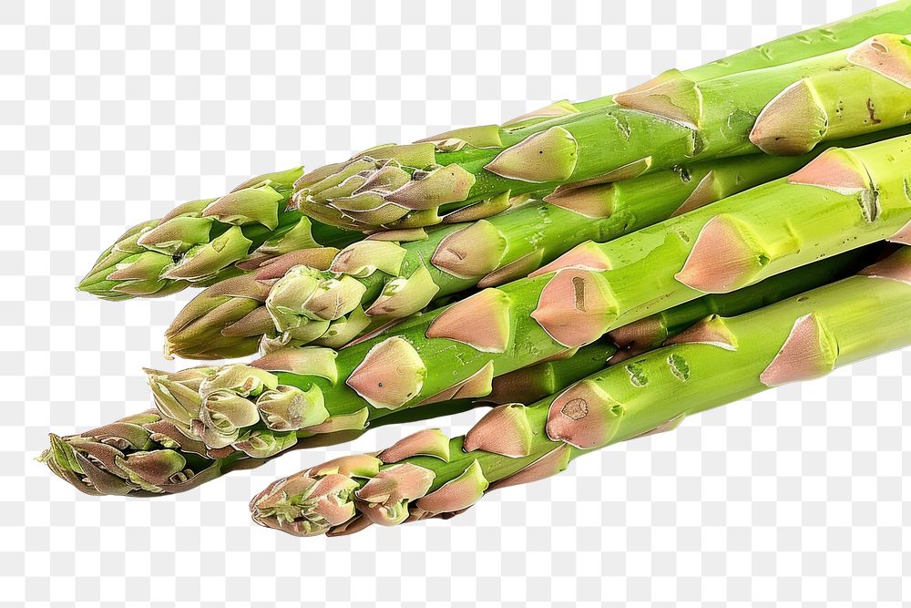 PNG Asparagus asparagus vegetable produce.