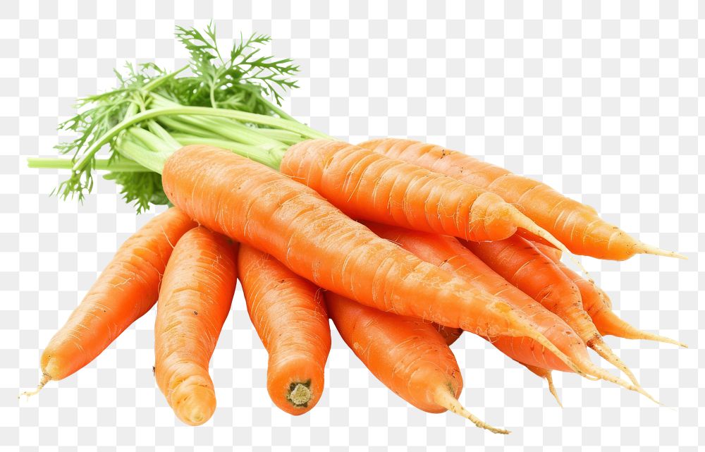 PNG Carrots carrot invertebrate vegetable.