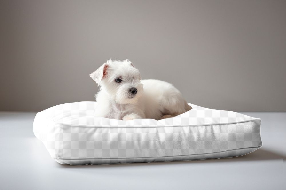 PNG Dog bed mockup, transparent design