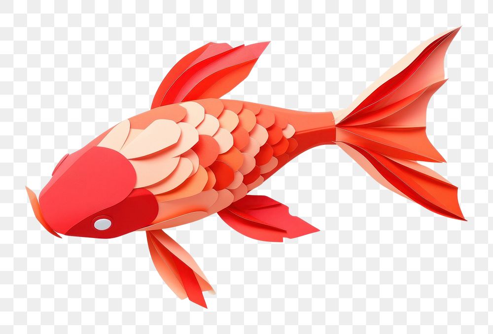 PNG Koi medication goldfish animal.