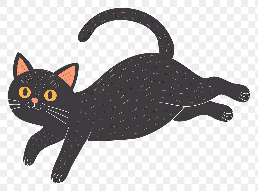 PNG  Black kitten cat animal mammal.