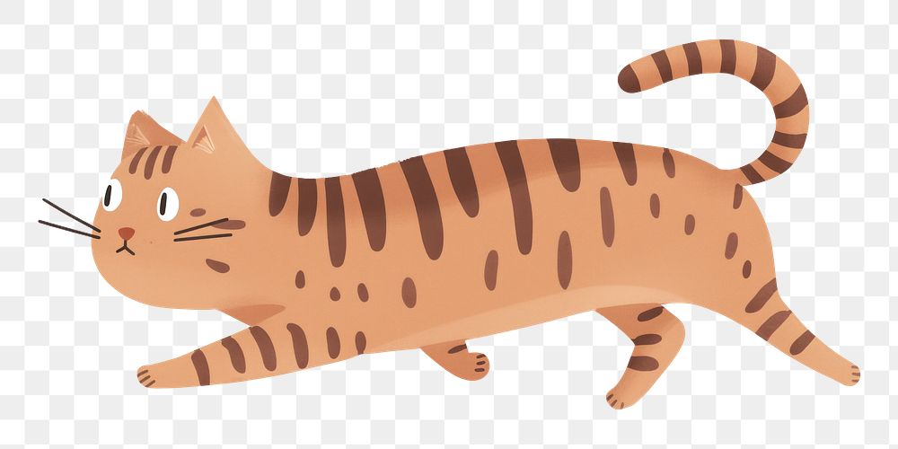 PNG  Tabby kitten fast running cat animal mammal.