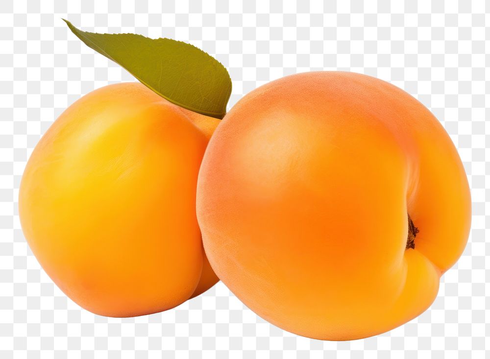 PNG Apricot produce fruit plant.