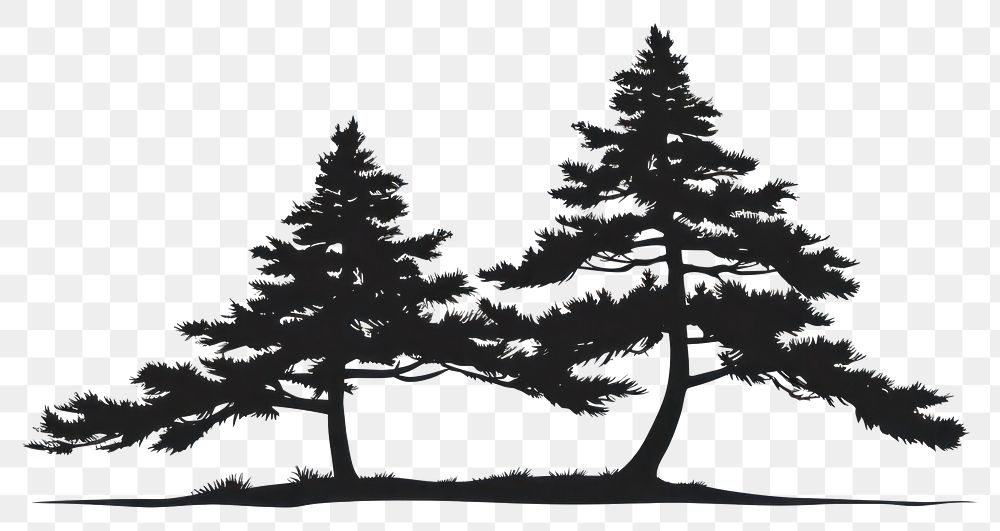 PNG Pine tree silhouette pine art.