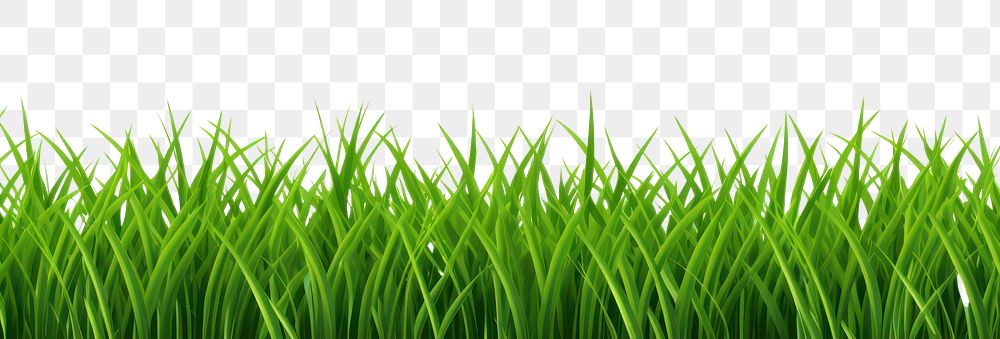 PNG Grass green backgrounds plant.