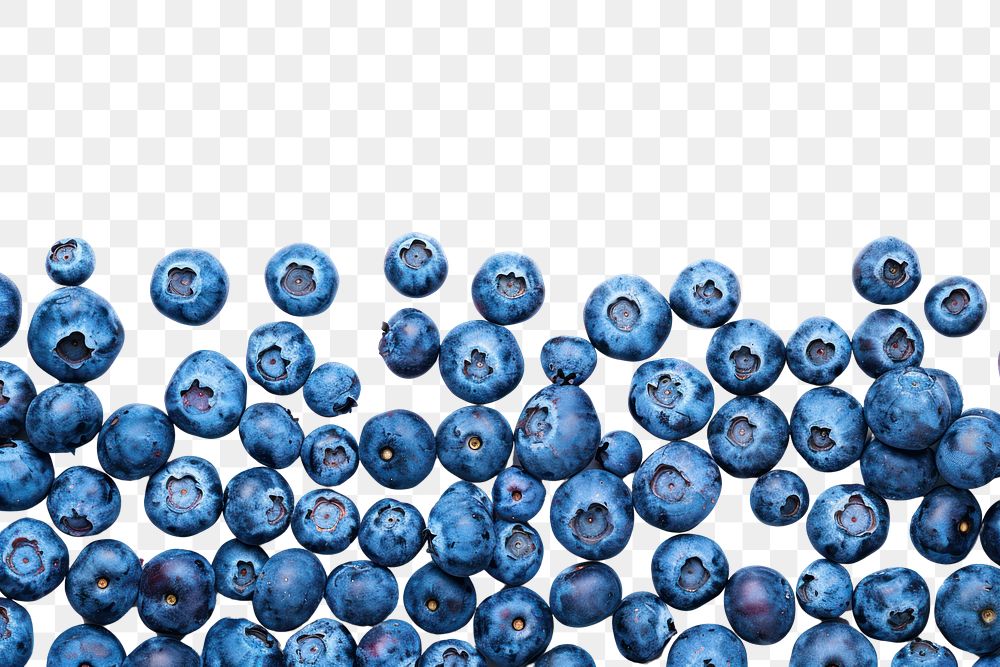 PNG Blueberry blueberry backgrounds fruit.