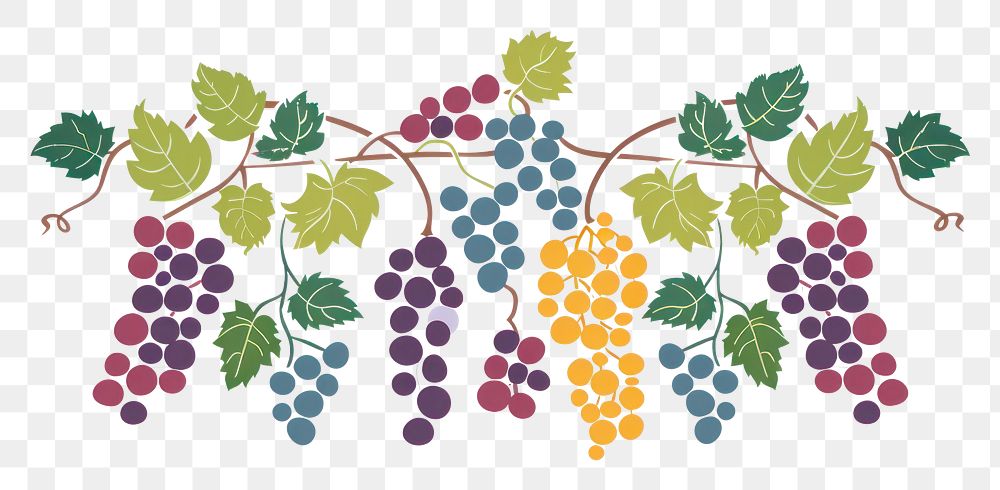 PNG Vine flat illustration produce grapes fruit.