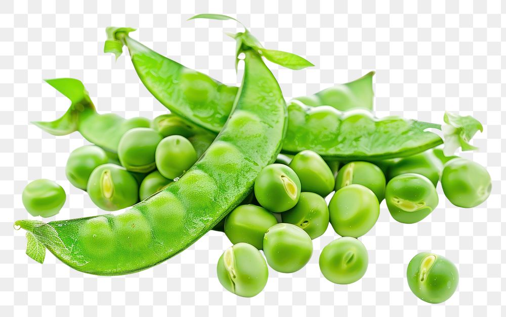 PNG Close-up photo of Fresh Green Peas pea vegetable plant.