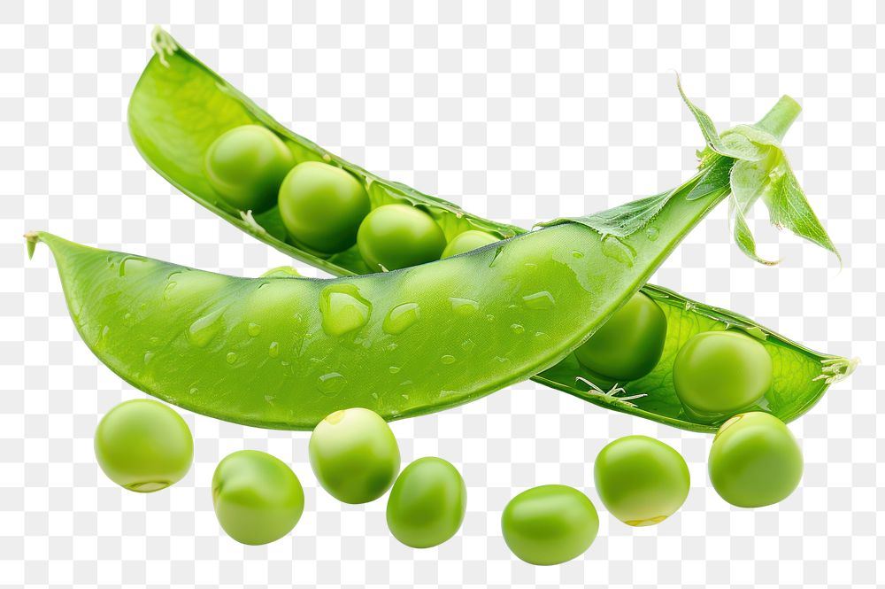 PNG Green pea vegetable plant food.