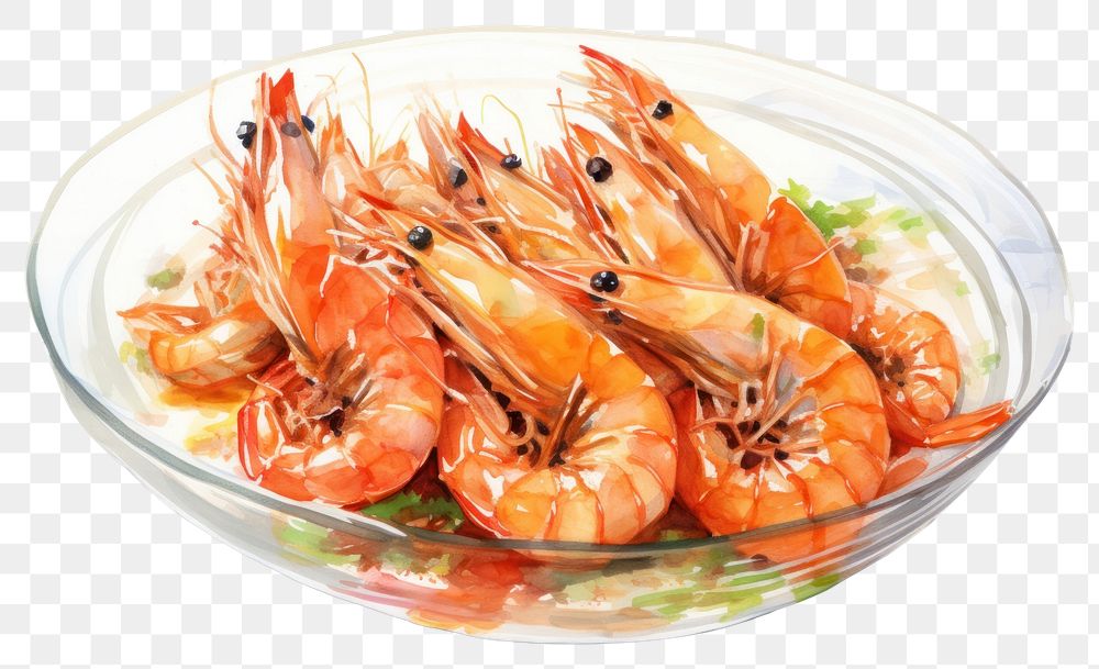 PNG Shrimps with glass noodles invertebrate seafood animal.