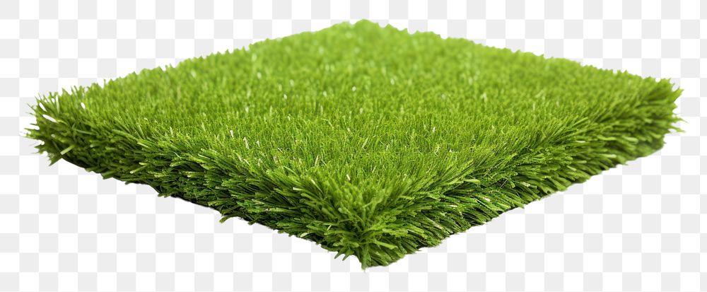 PNG Artificial Turf in Fron grass plant turf.