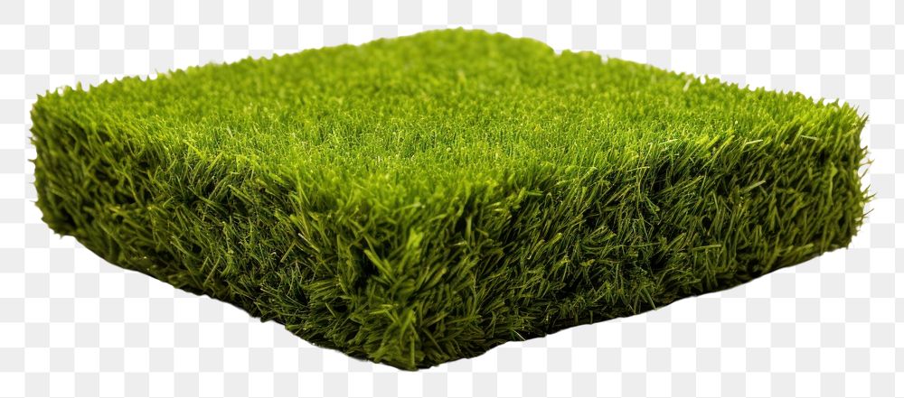 PNG Artificial Turf in Fron grass plant lawn.