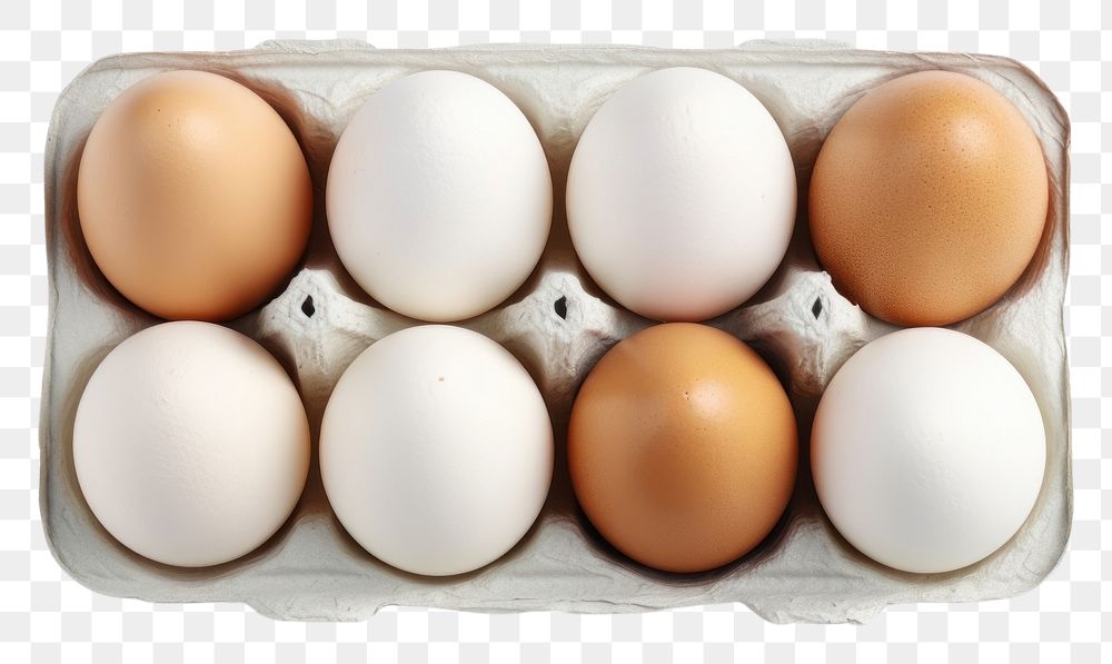PNG  Eggs carton mockup food easter egg.