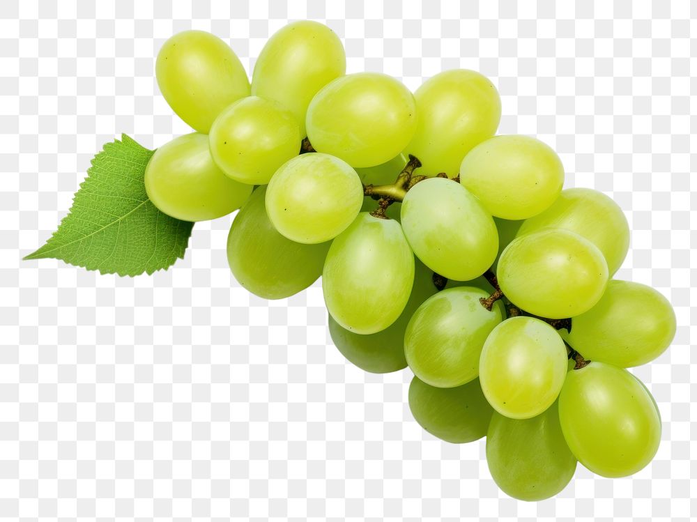 PNG Green grapes produce balloon fruit.