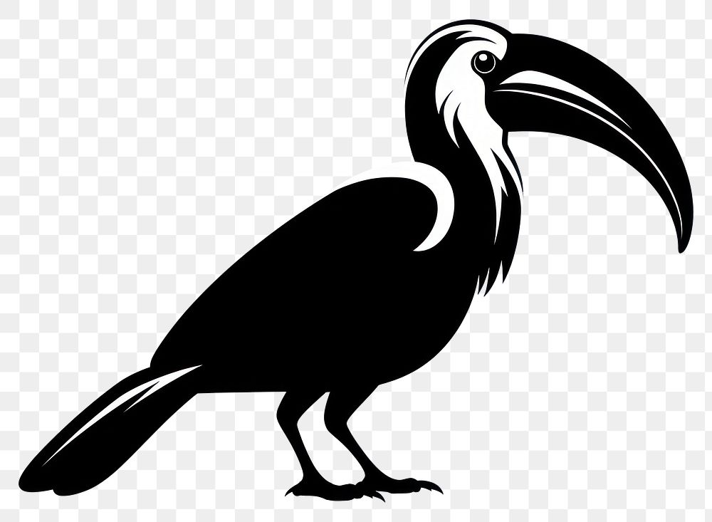 PNG Hornbill silhouette clip art animal bird beak.