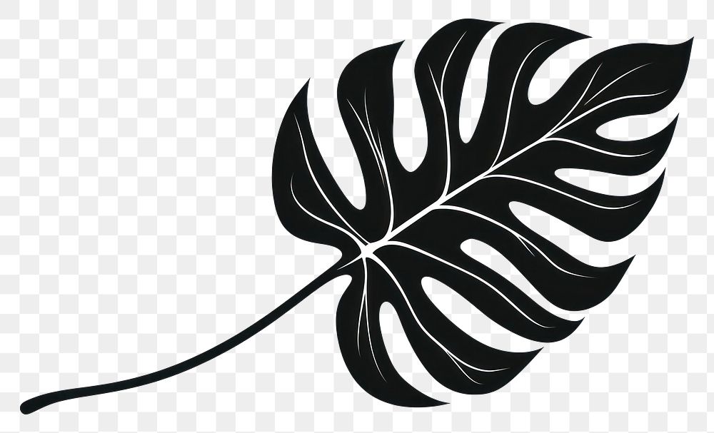 PNG Leaf silhouette clip art leaf plant white background