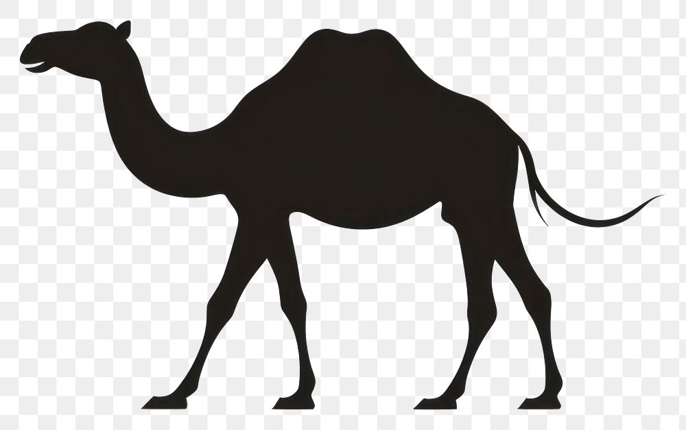 PNG Camel Silhouette clip art silhouette animal mammal.
