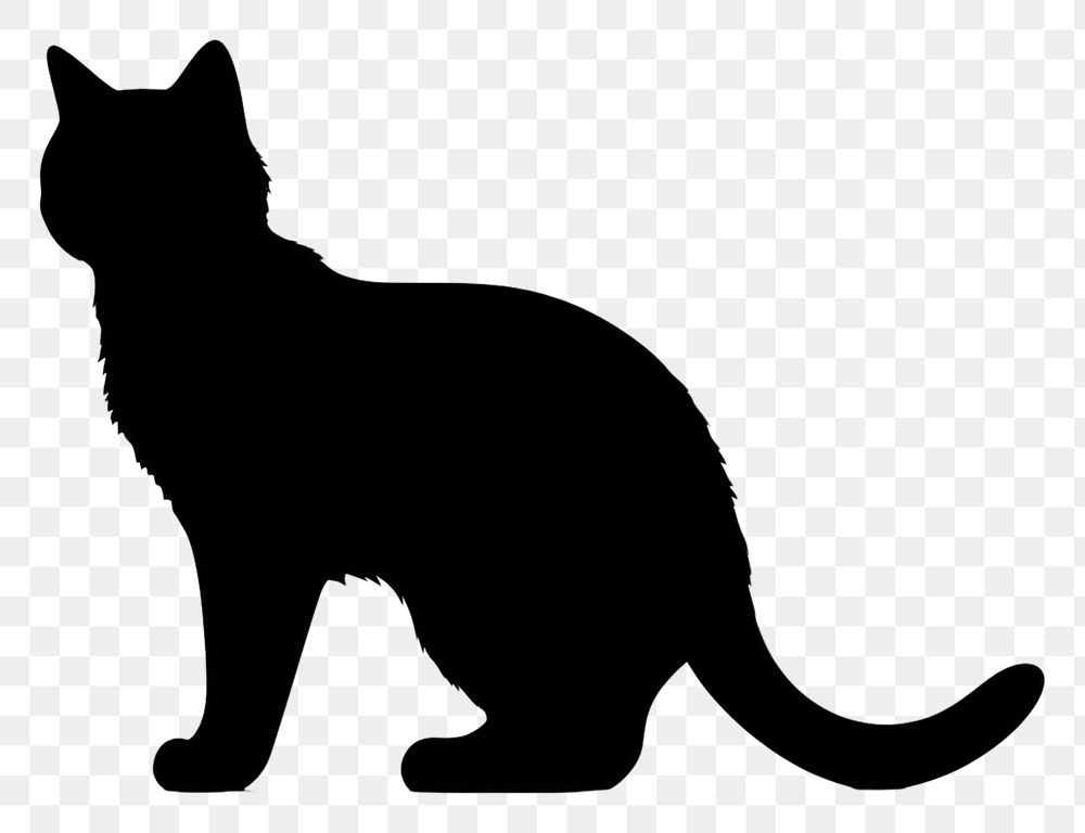 PNG Cat silhouette clip art animal mammal white.
