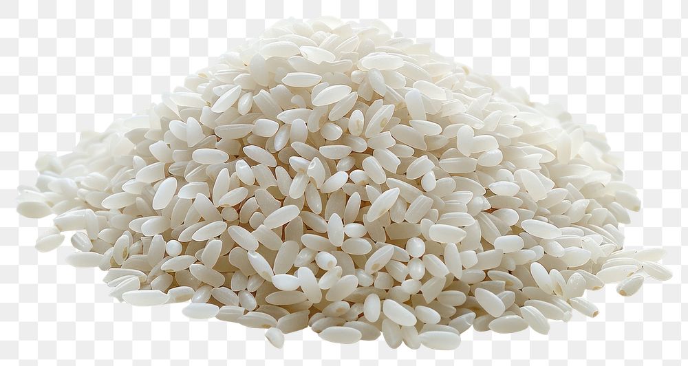 PNG Photo of rice white food white background.