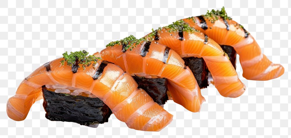 PNG Salmon sushi seafood rice dish.