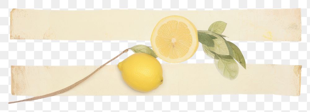 PNG  Lemon ephemera produce fruit plant.