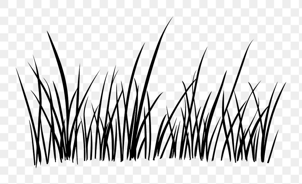 PNG Easy doodle drawing of grass plant reed text.