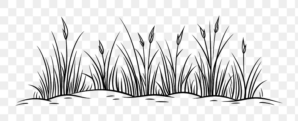 PNG Grass illustrated drawing sketch.