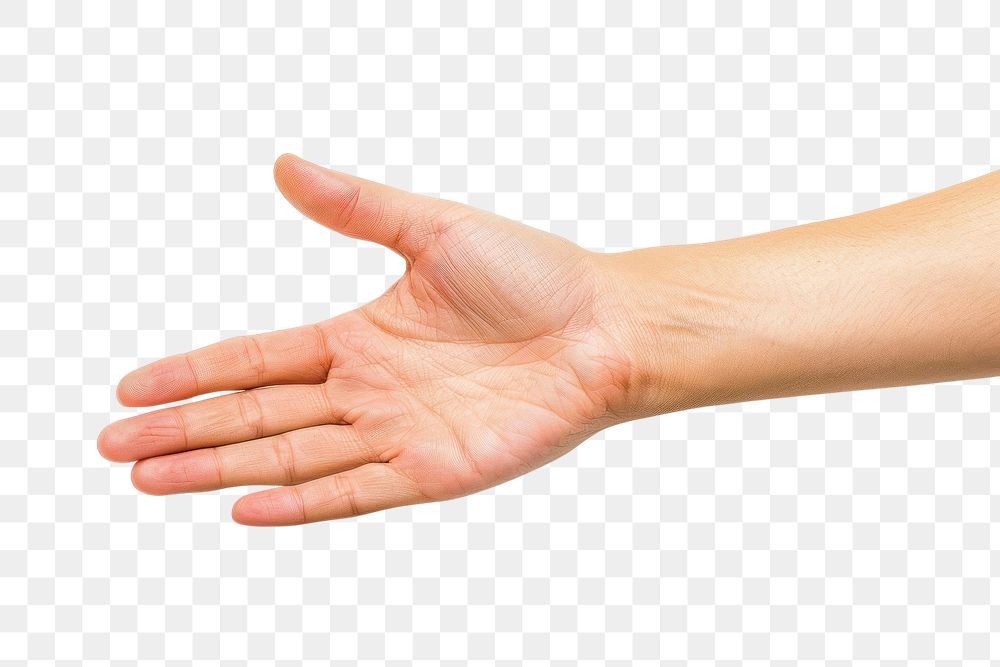 PNG Photo of hand stacked massage finger person.