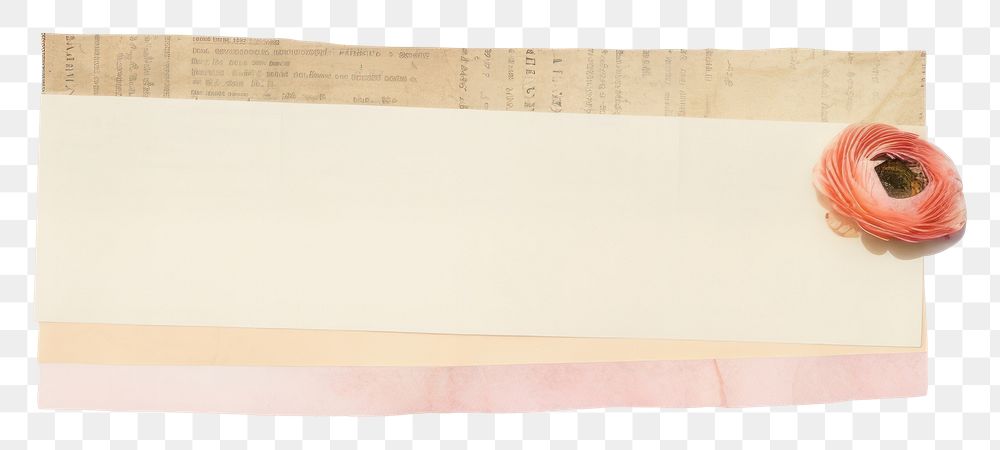 PNG  Ranunculus ephemera paper letterbox mailbox.