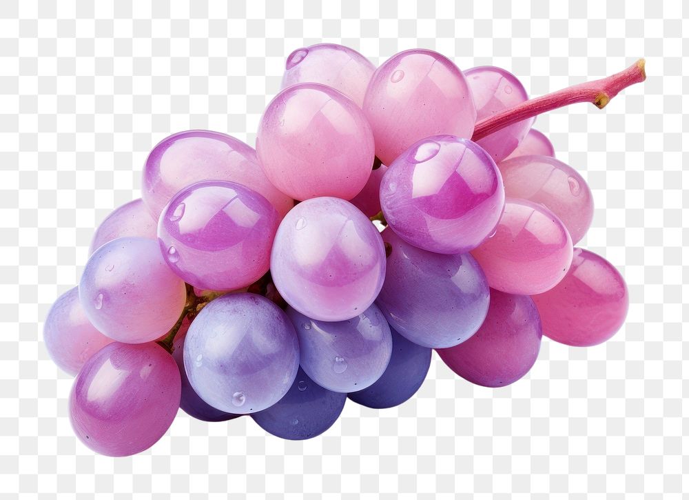 PNG Grape grapes produce fruit