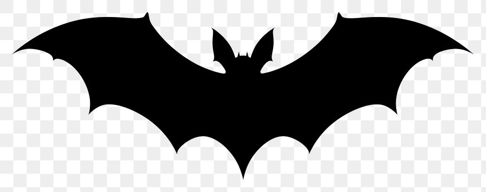 PNG  Bat wildlife symbol animal.