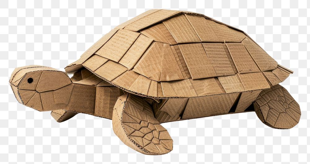 PNG Turtle turtle transportation tortoise.