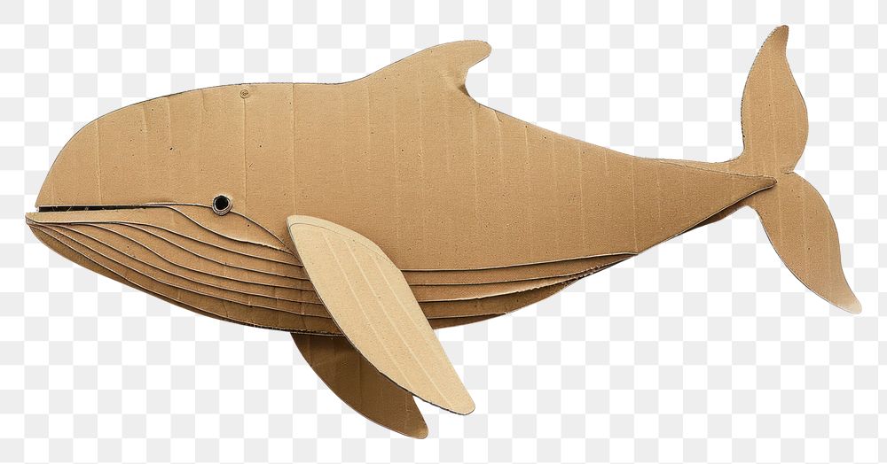 PNG Whale cardboard whale transportation.
