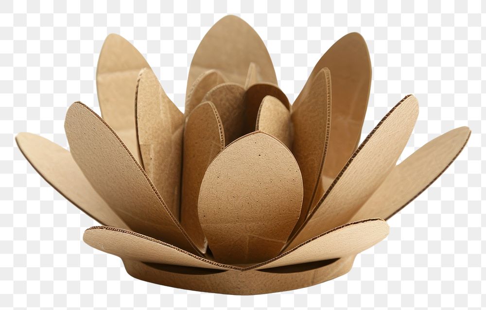 PNG Lotus cardboard paper carton.