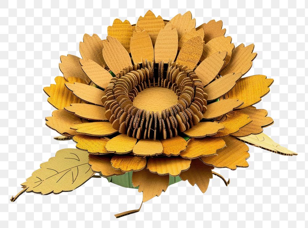 PNG Sunflower sunflower paper accessories.