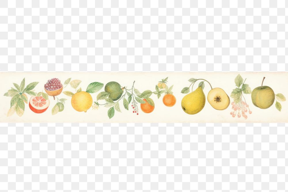 PNG Fruits pattern washi tape plant pear food.