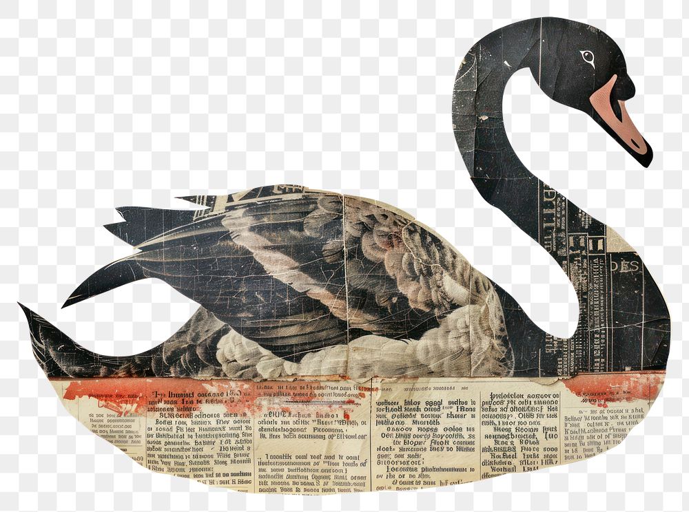 PNG Swan shape collage cutouts anseriformes waterfowl reptile