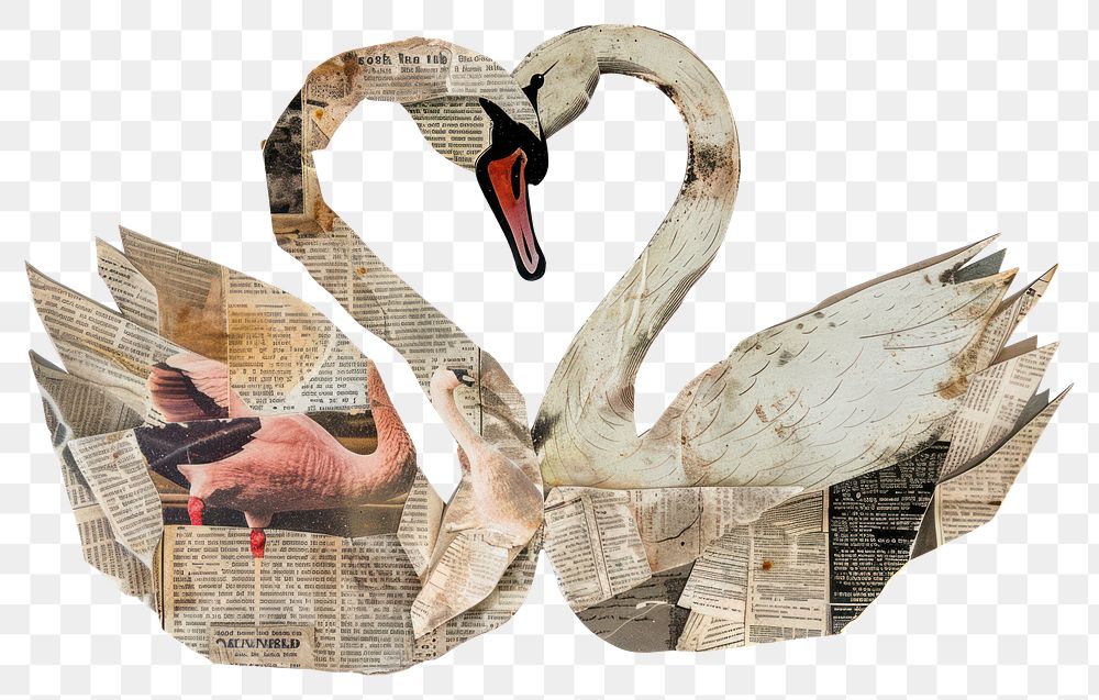 PNG Swan shape collage cutouts anseriformes waterfowl animal.