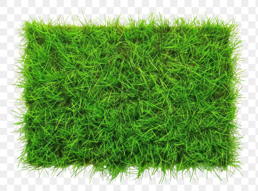 PNG Rectangle shape lawn grass plant moss.