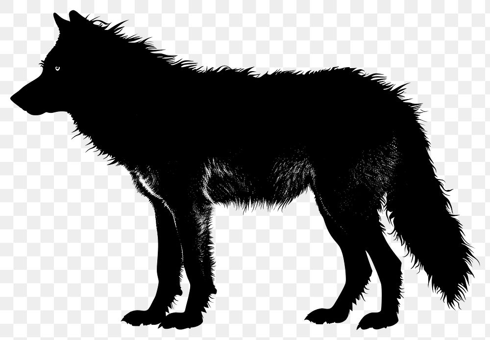 PNG Wolf silhouette animal mammal canine.