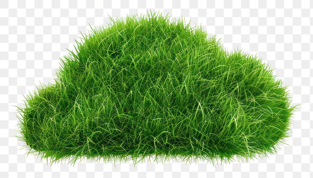 PNG Cloud shape lawn grass vegetation plant.