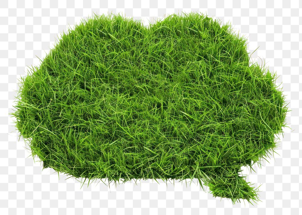PNG Speech bubble box shape lawn grass seasoning plant.