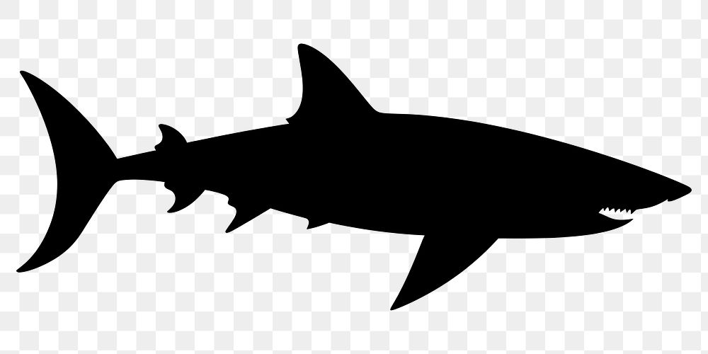 PNG Shark silhouette animal fish sea life.